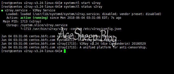 v2ray-linux-add-service-and-show-status.jpg