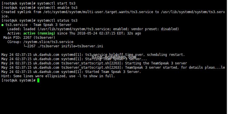 teamspeak3-server-daemon-status.jpg