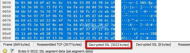 Segment data